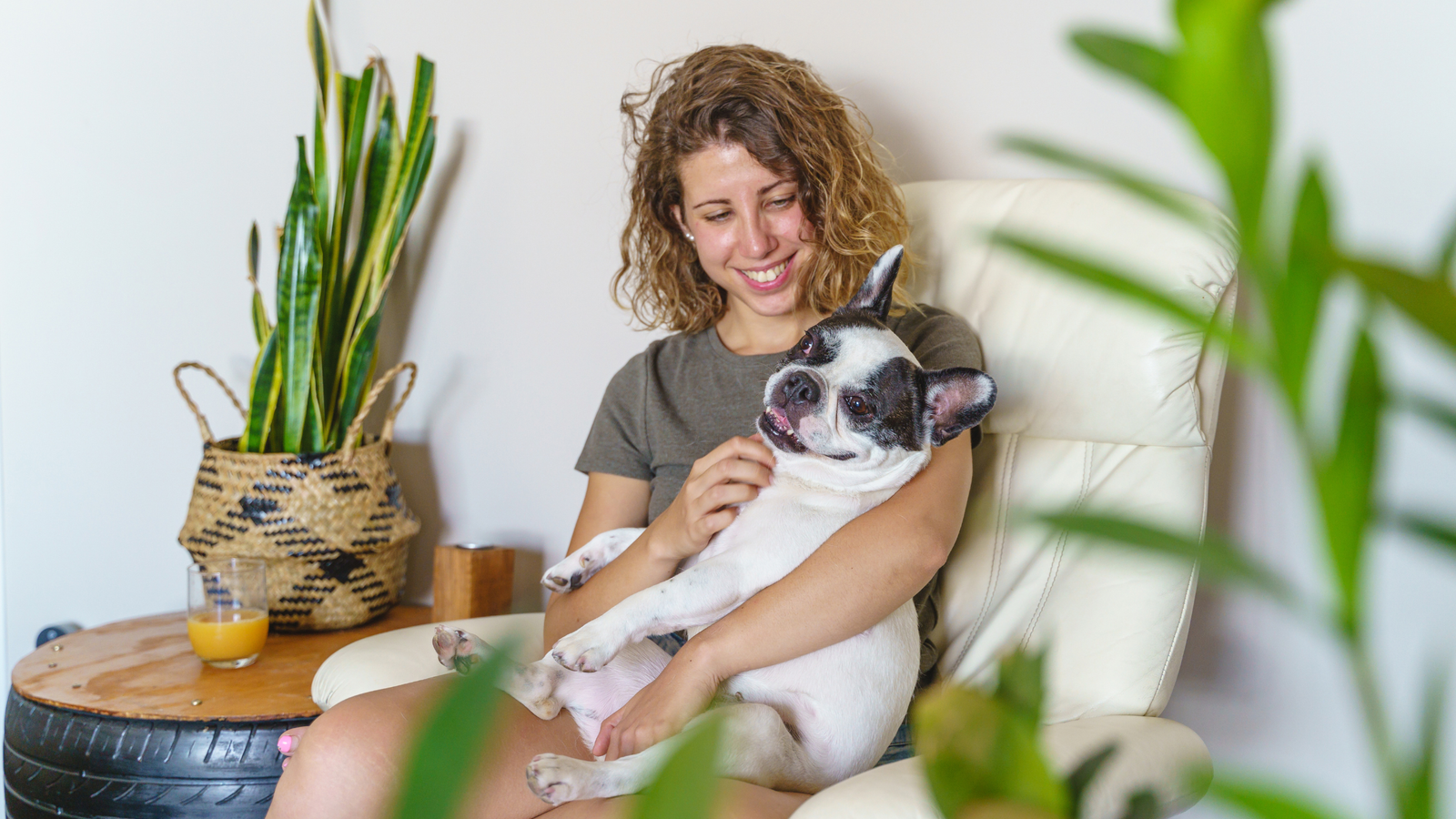 Dog Friendly Cafe Gwelup